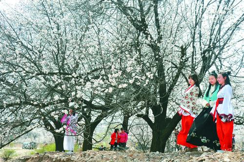 意甲直播高清免费观看 现场画面